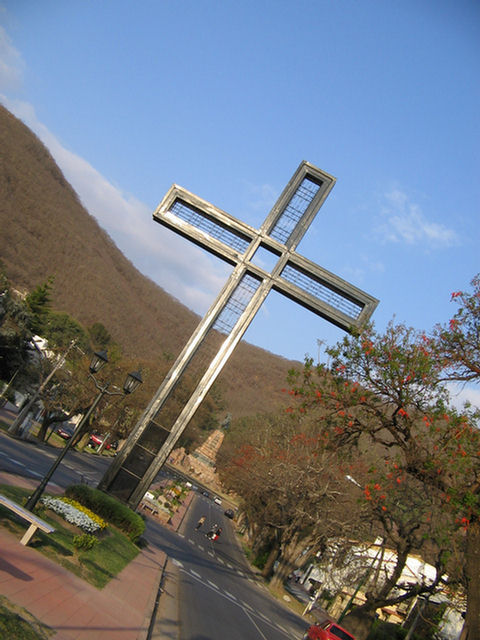 Foto de uno de los árboles de Ceibo que rodean la Cruz del Congreso Eucarístico de la Provincia de Salta