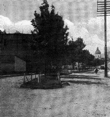 Foto de la Avenida Belgrano en 1912, con su platabanda arbolada.