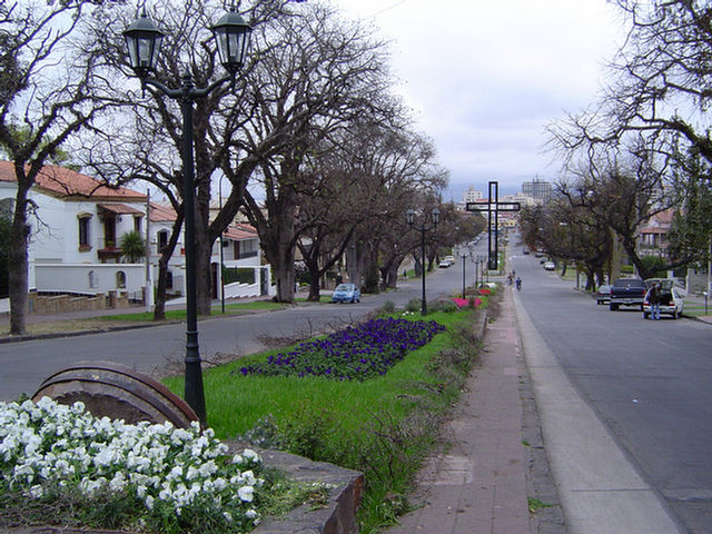 Foto del boulevard del Paseo Güemes en una tarde de otoño donde se encuentra la Cruz