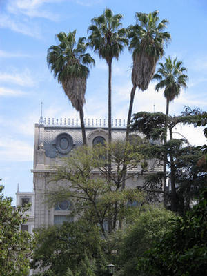 Foto de las palmeras de la plaza y del Centro Cultural América.