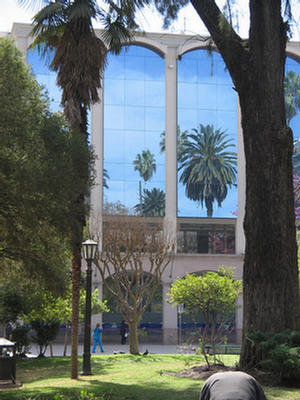 Foto de los ventanales espejados del banco frente a la plaza 9 de Julio.