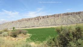 Foto de plantación de pimentón en el lecho del río seco, al costado de la ruta, llegando a la localidad de Cachi en la provincia de Salta.