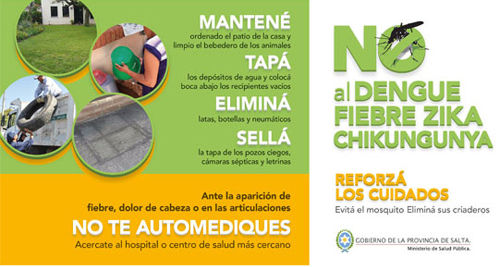 Imagen del afiche para la prevención del Dengue en Salta.