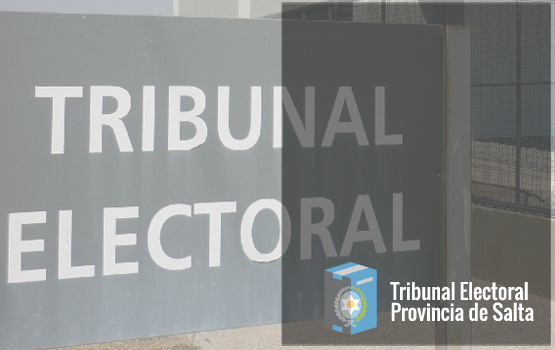 Imagen capturada del Tribunal Electoral de la Provincia de Salta.