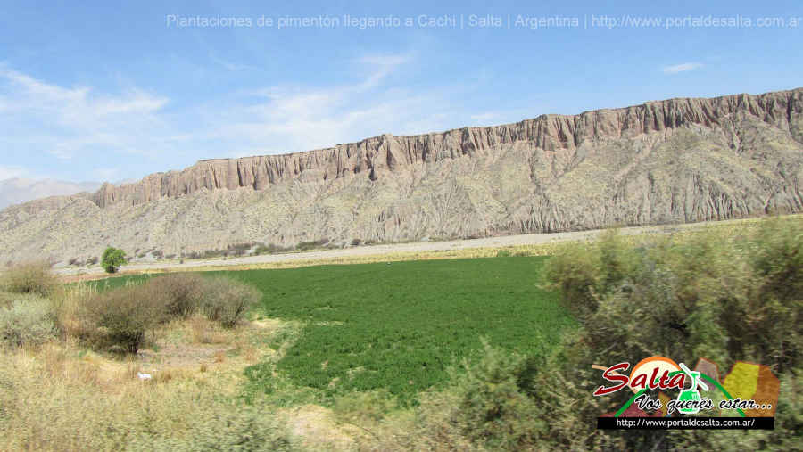 Unsplashed imagen del pimentón secando llegando a Cachi, Salta